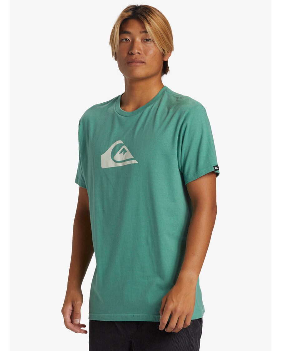T-shirt με λογότυπο Quiksilver Comp - παγωμένο έλατο