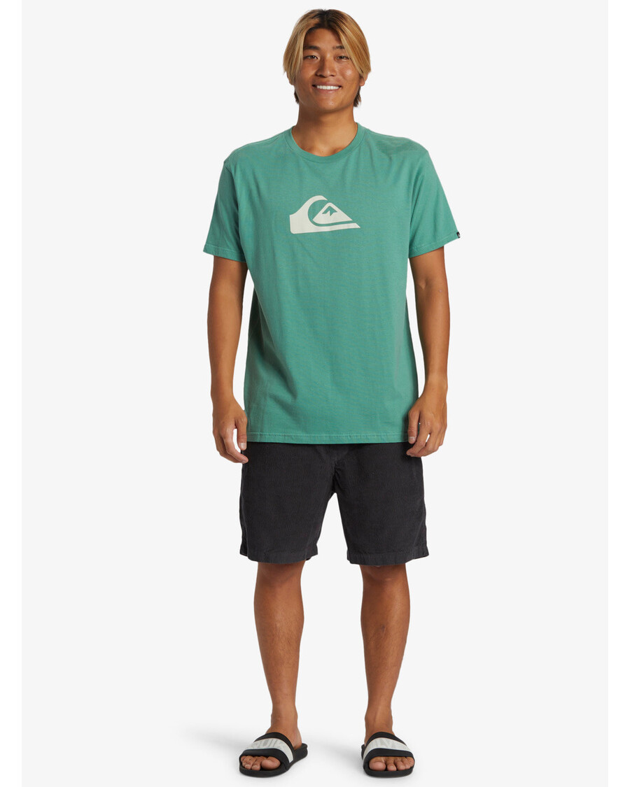 T-shirt με λογότυπο Quiksilver Comp - παγωμένο έλατο