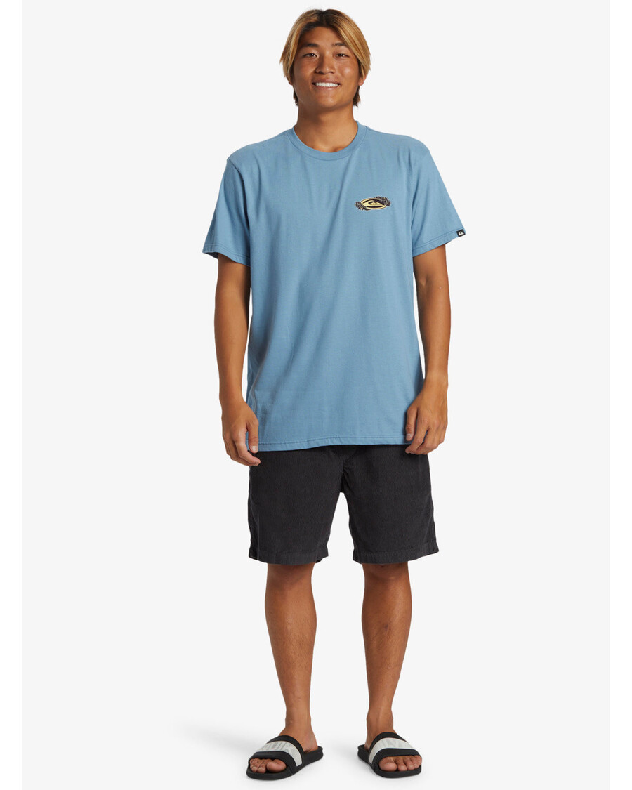 Quicksilver Tc Snap T-paita - Sininen Varjo