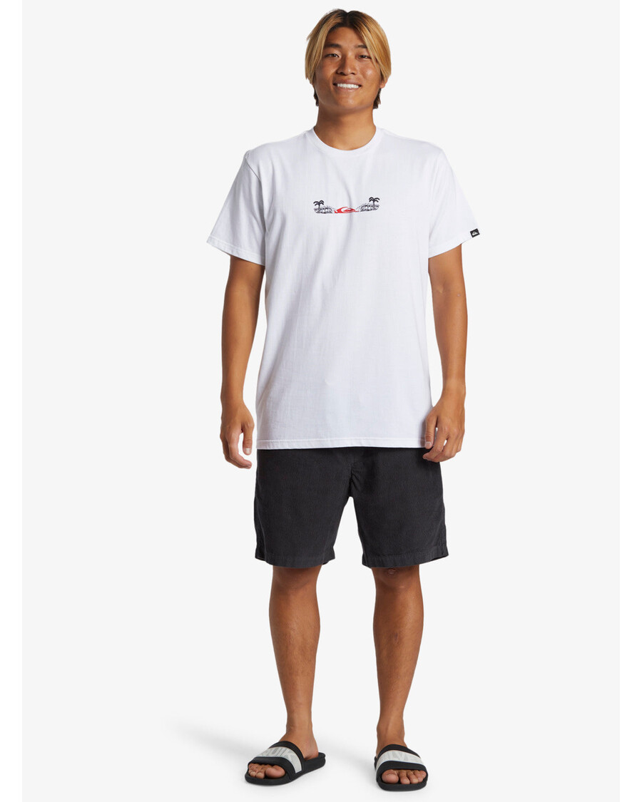 футболка Quiksilver Surf Core — белая