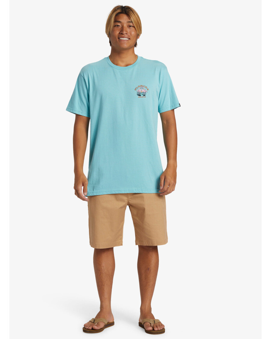 クイックシルバー フロリダ フラミンゴ カントリー T シャツ - マリンブルー