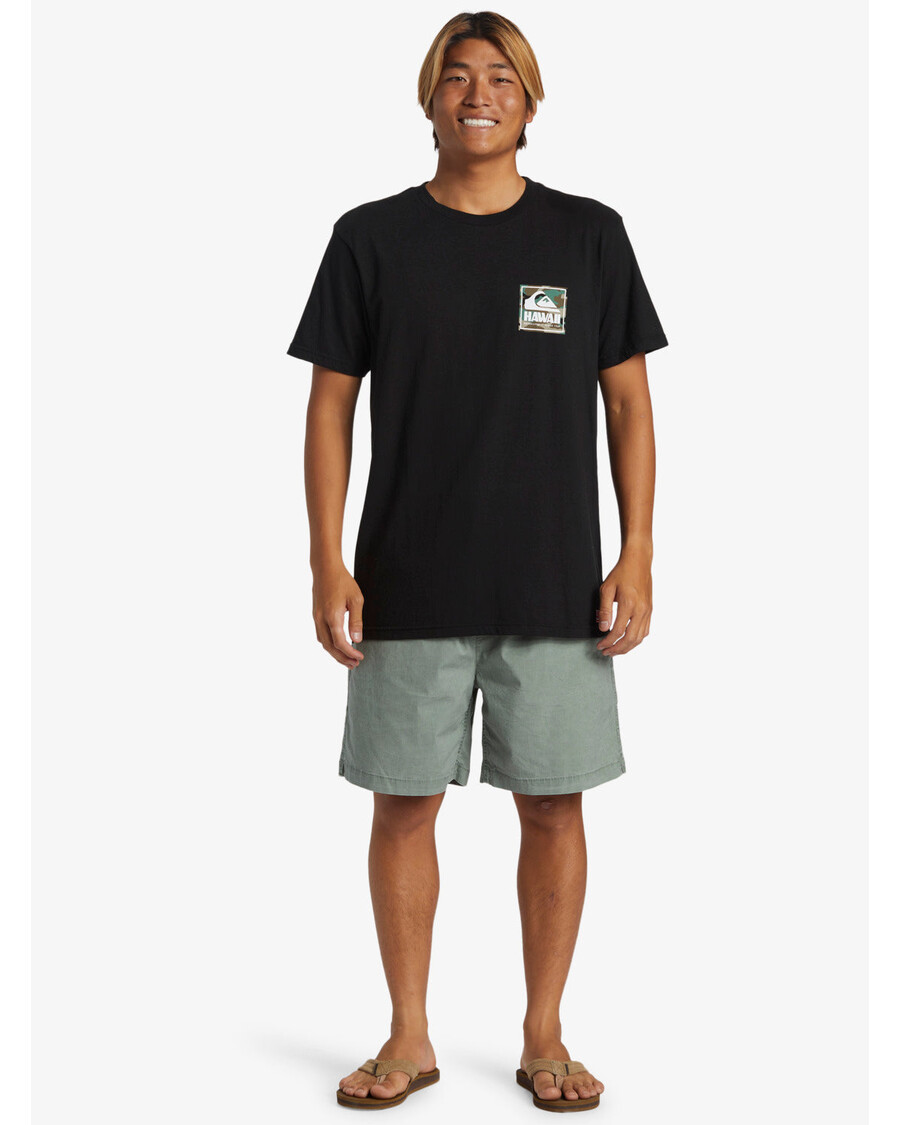 Kaos Kelipatan Quiksilver Hawaii - Hitam