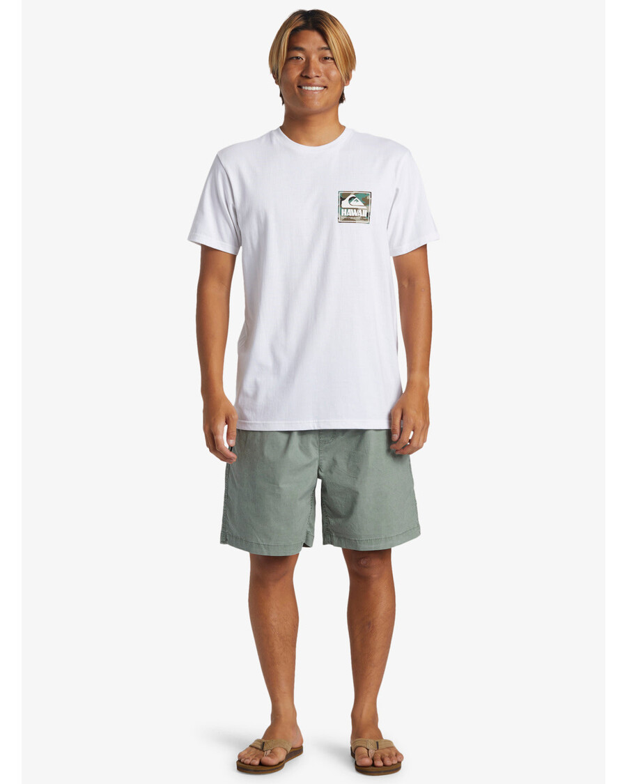 куиксилвер хаваии мултиплес мајица - бела