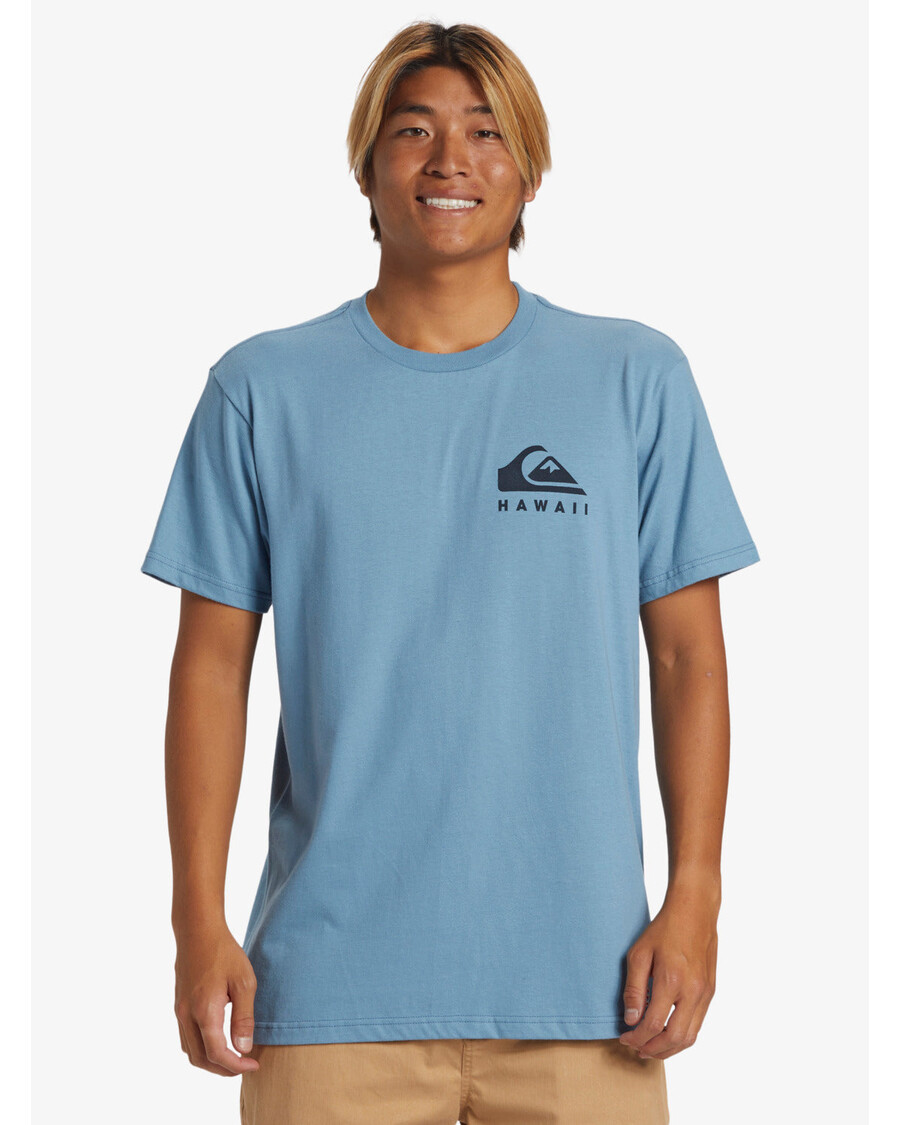 Quiksilver Hawaii Noggin Tişört - Mavi Gölge