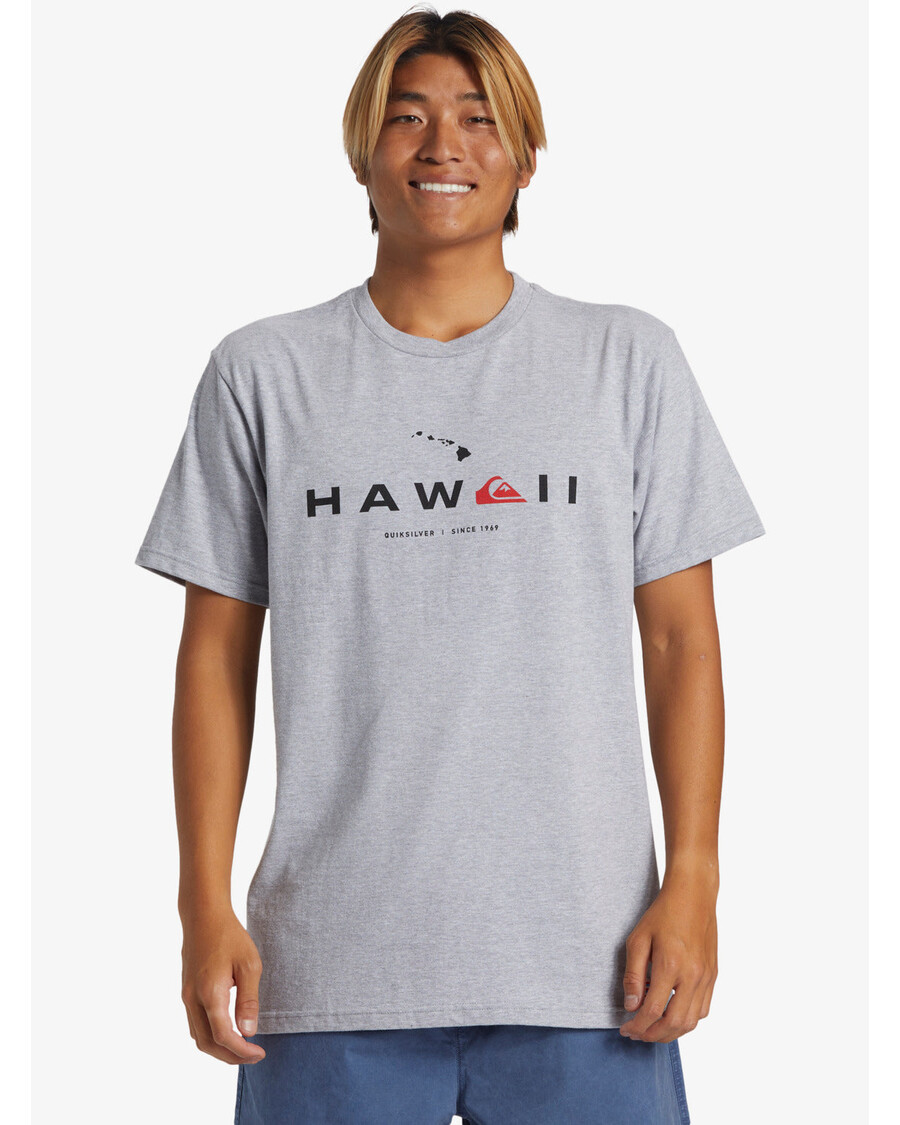 Quiksilver Hawaii Ruh Hali Tişörtü - Atletik Heather