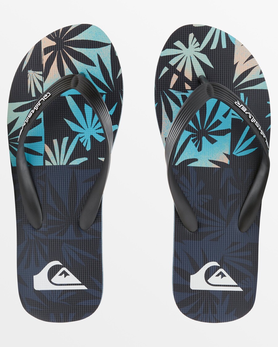 Сандалии Quiksilver Molokai Art Ii - черный/серый/синий