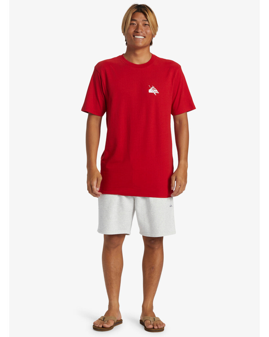 Quik Silver Petroglyph Logo DNA T-Shirt - Salsa