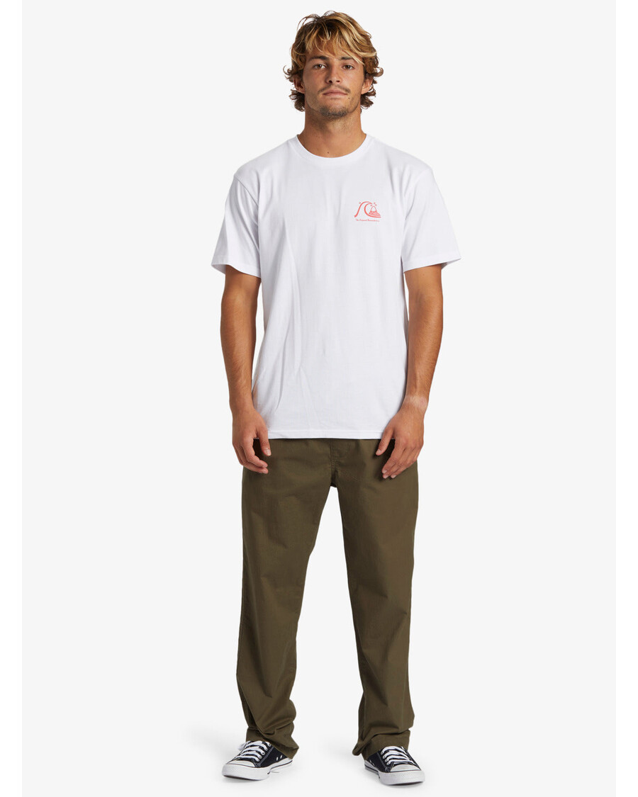 Quiksilver Dna -rantahousut - Rypäleen Lehti