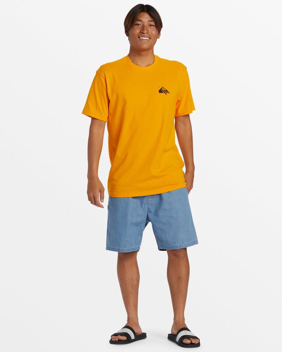 Tricou Quik Silver Petroglyph Logo ADN -