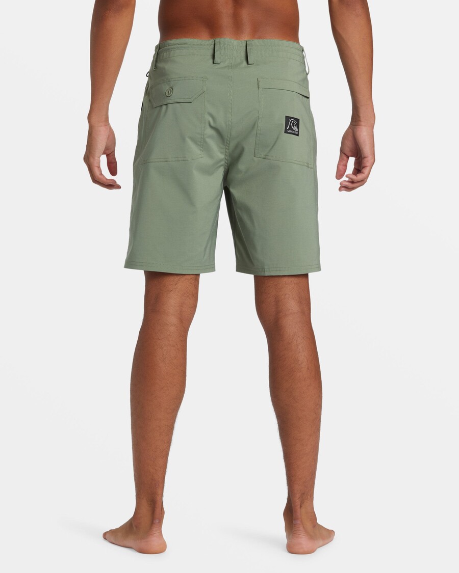 Quik Silver DNA Amphibian 18.5" Hybrid Shorts - Sea Spray