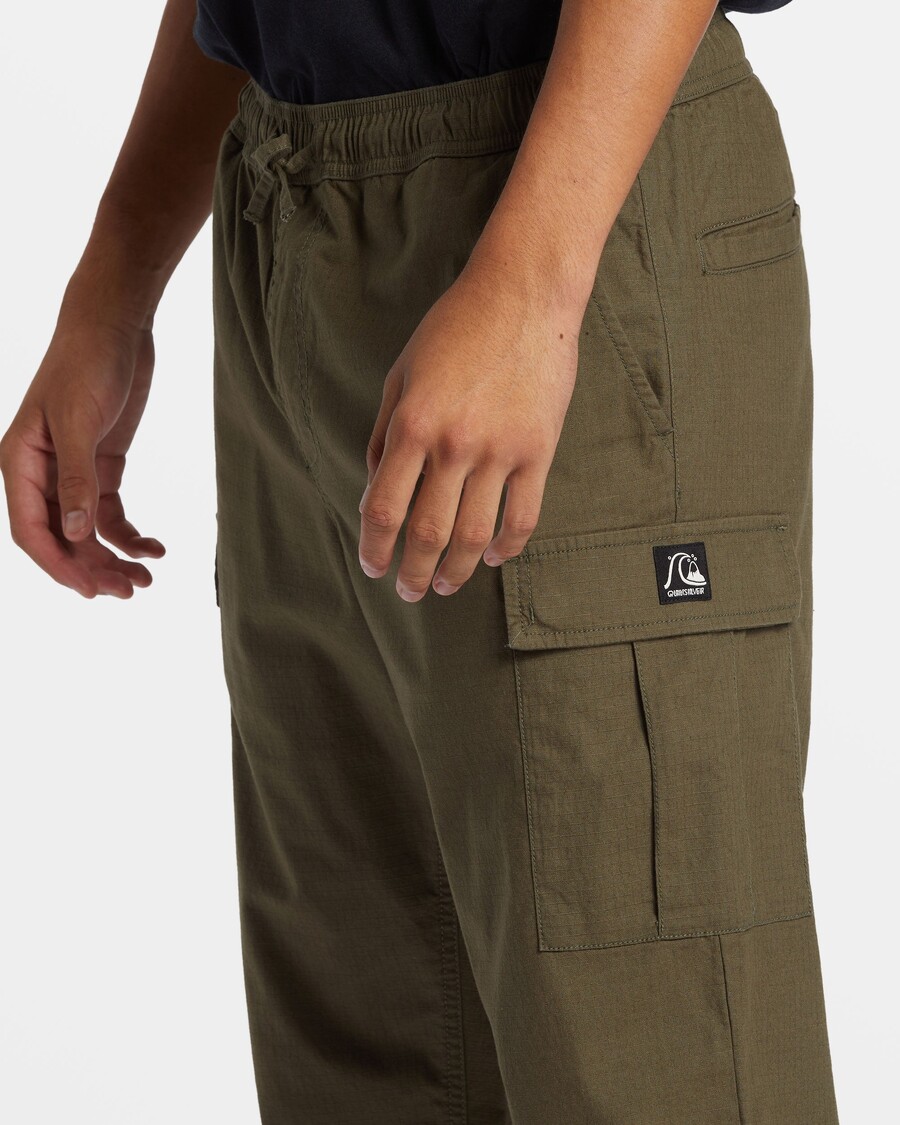 Quik Silver DNA Beach Cargo Pants - Grape Leaf