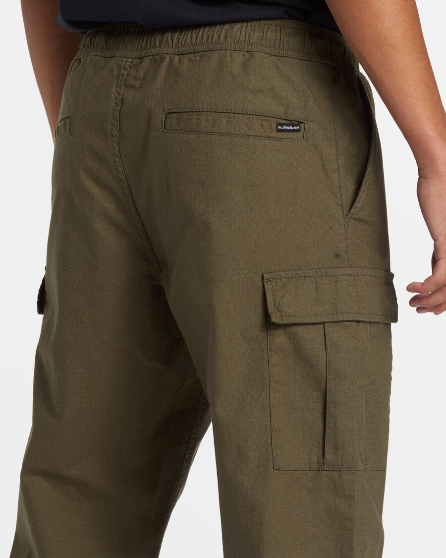 Quik Silver DNA Beach Cargo Pants - Grape Leaf