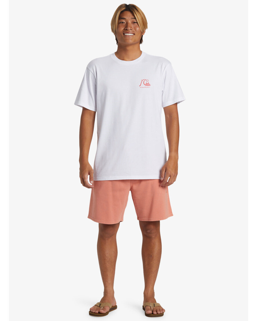 Quik Silver The Original Boardshort T-Shirt - White