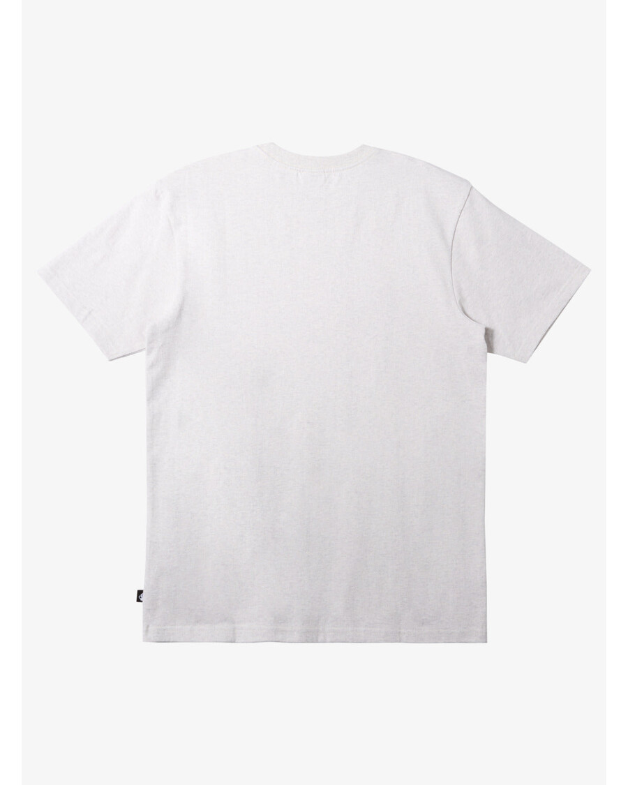 Quik Silver N.a.r. Saturn Marškinėliai - Sniego Viržiai