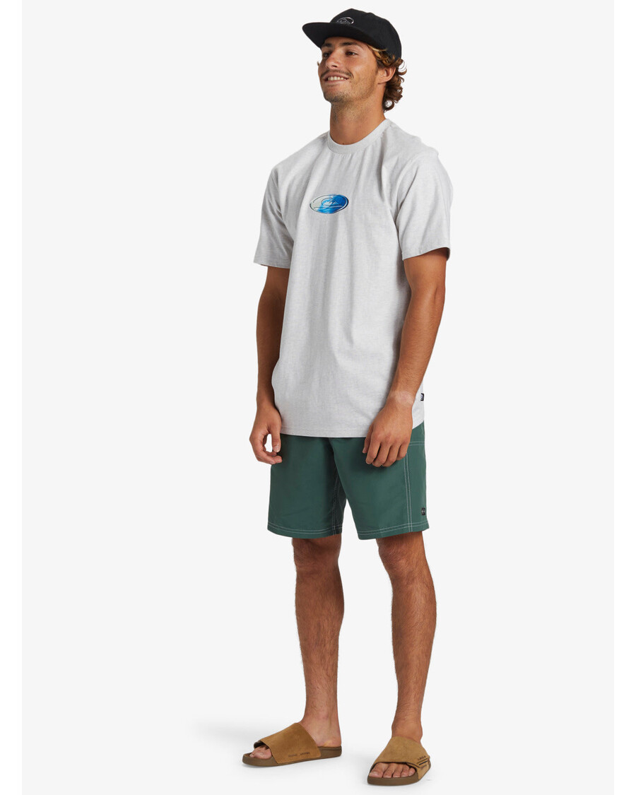 Quik Silver N.a.r. Saturn Marškinėliai - Sniego Viržiai