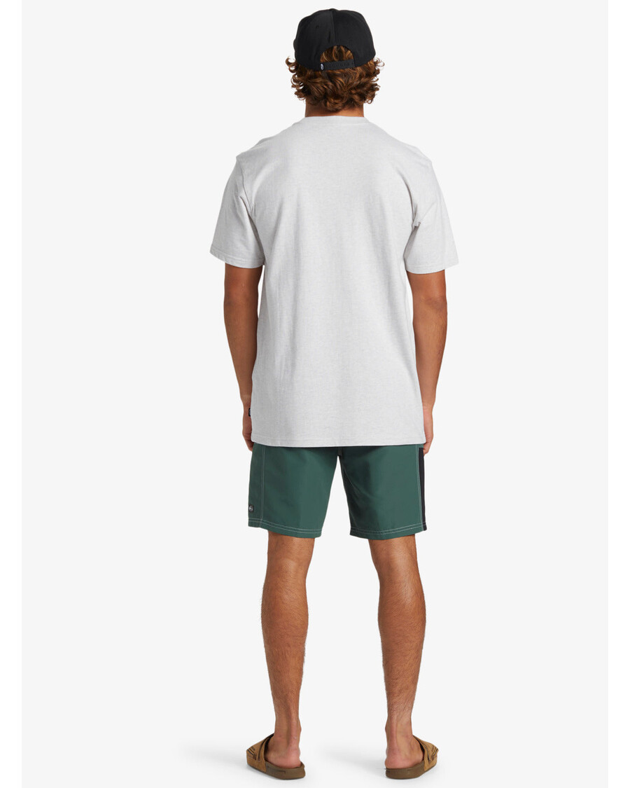 Quik Silver N.a.r. Saturn Marškinėliai - Sniego Viržiai