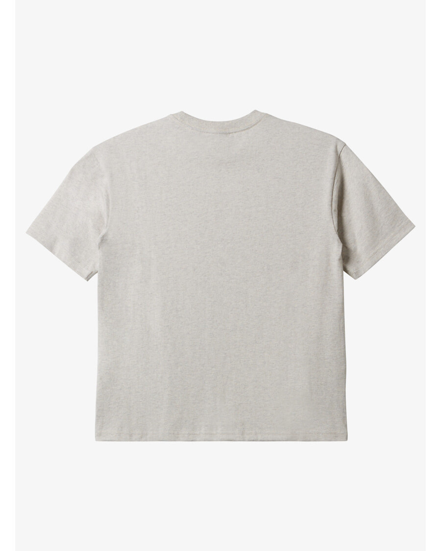 Quik Silver Boys 8-16 N.A.R T-Shirt - Snow Heather