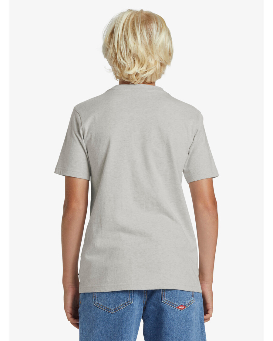 Quik Silver Boys 8-16 N.A.R T-Shirt - Snow Heather