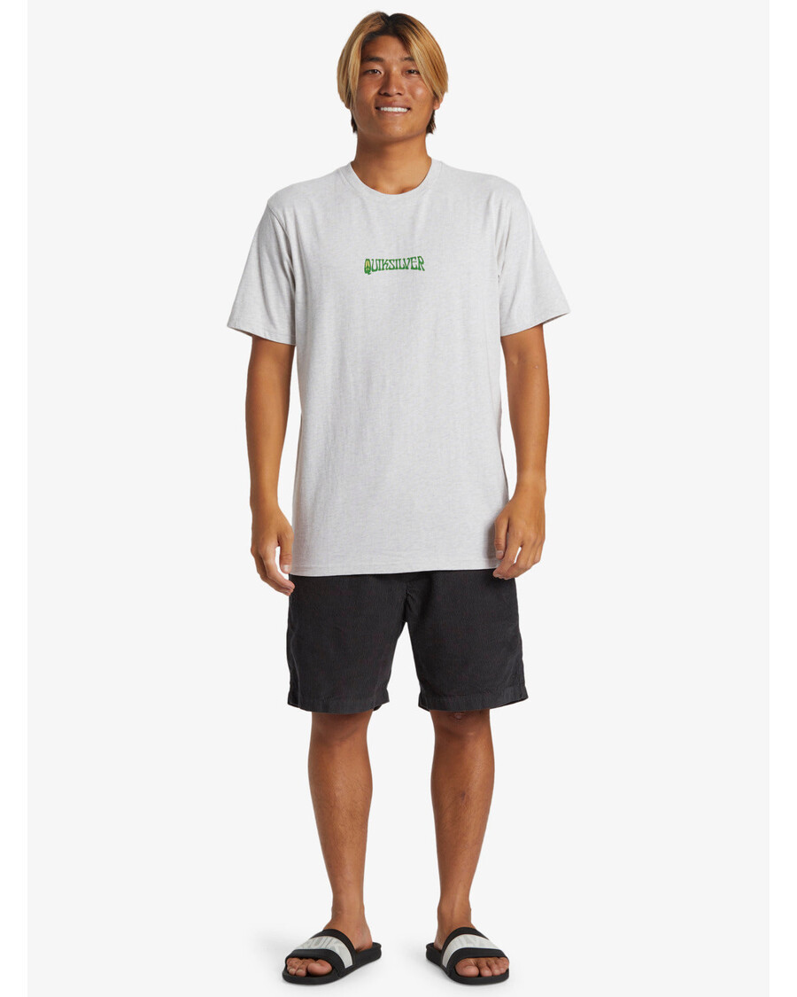 Quik Silver Island Sunrise T-Shirt - Snow Heather