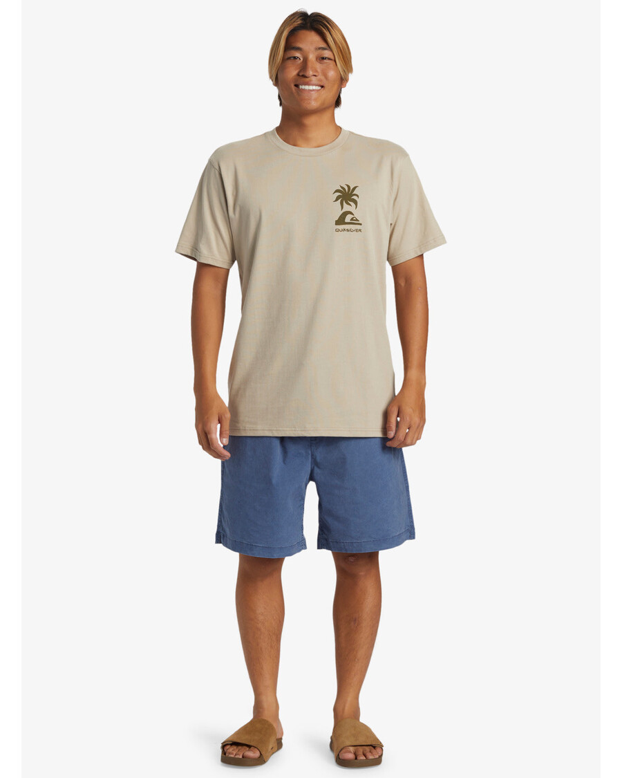 Quik Silver Tropical Breeze T-Shirt - Plaza Taupe