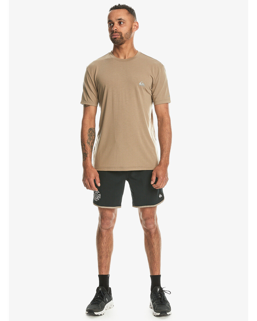 Quik Silver Coastal Run T-Shirt - Timber Wolf