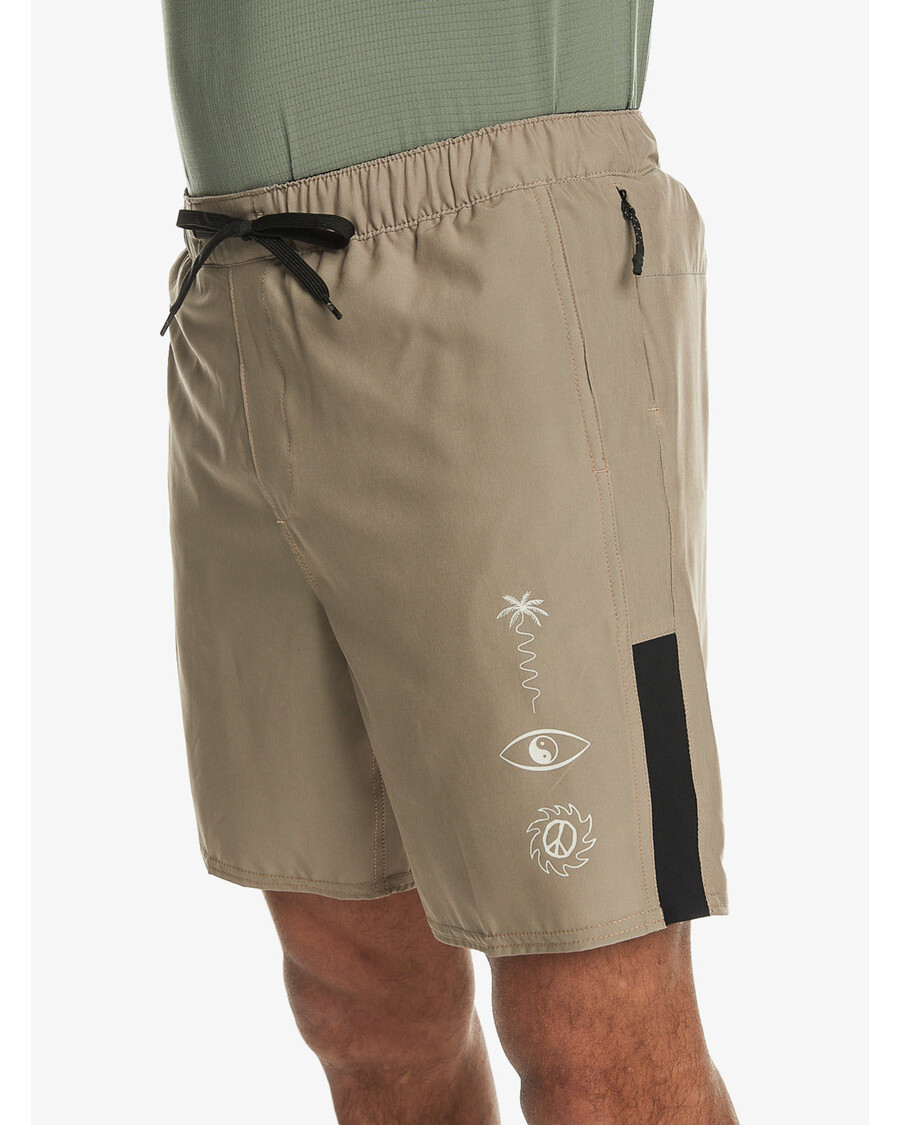 Kratke Hlače Za Trening Quiksilver Omni 17" - Timber Wolf