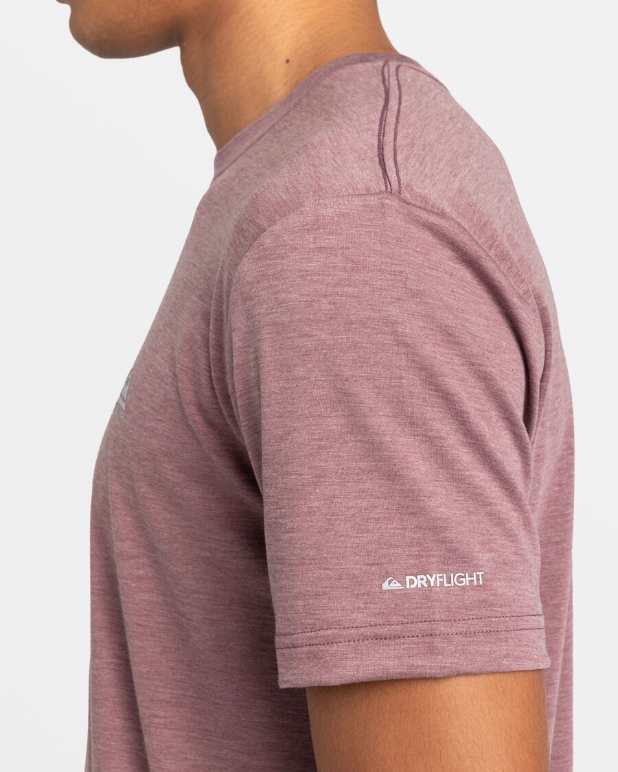 Quik Silver Coastal Run T-Shirt - Grape Shake
