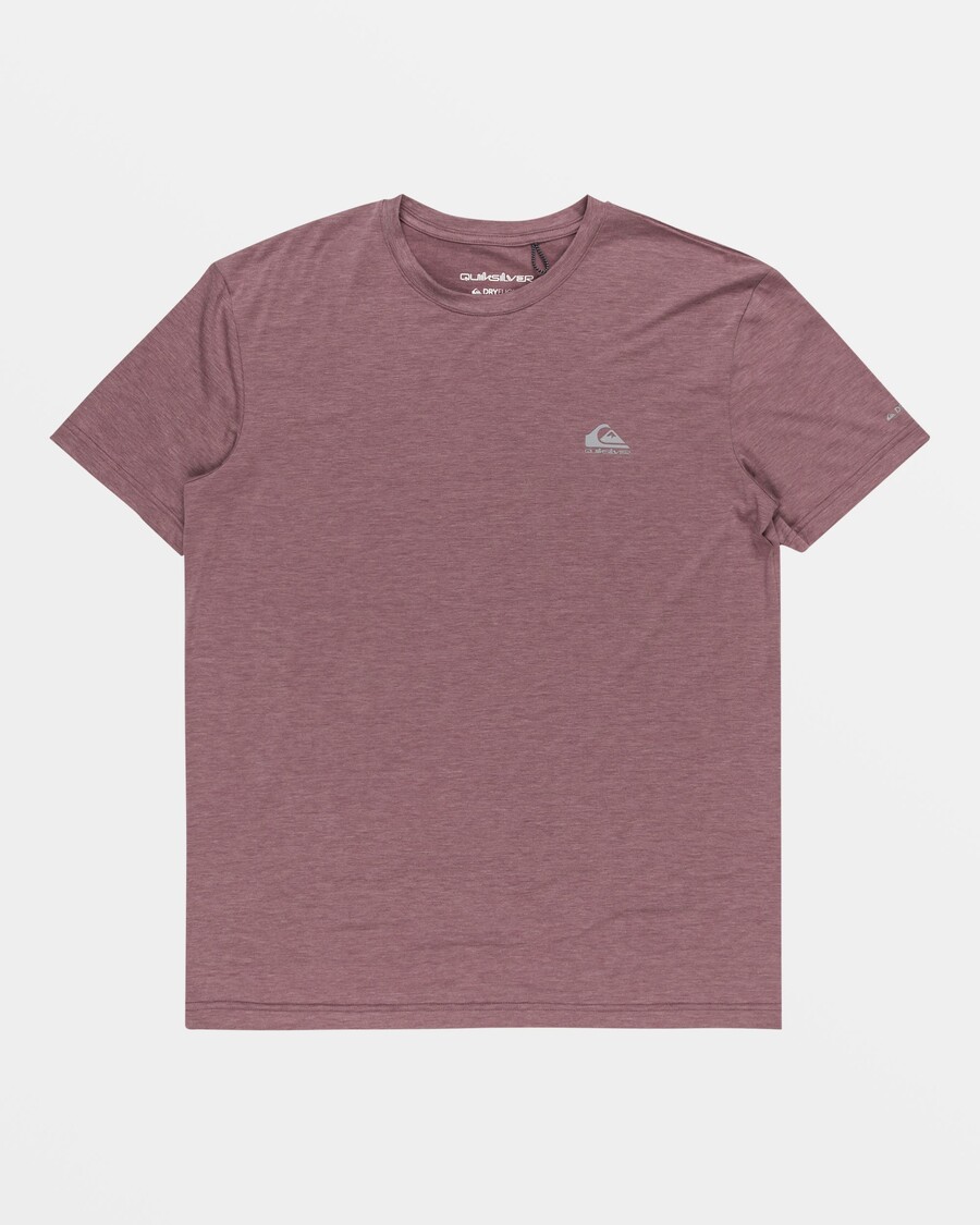 Quik Silver Coastal Run T-Shirt - Grape Shake