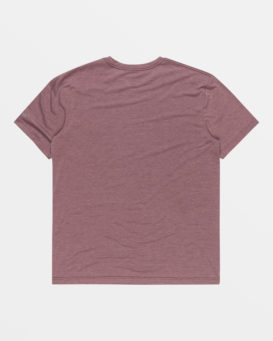 Quik Silver Coastal Run T-Shirt - Grape Shake