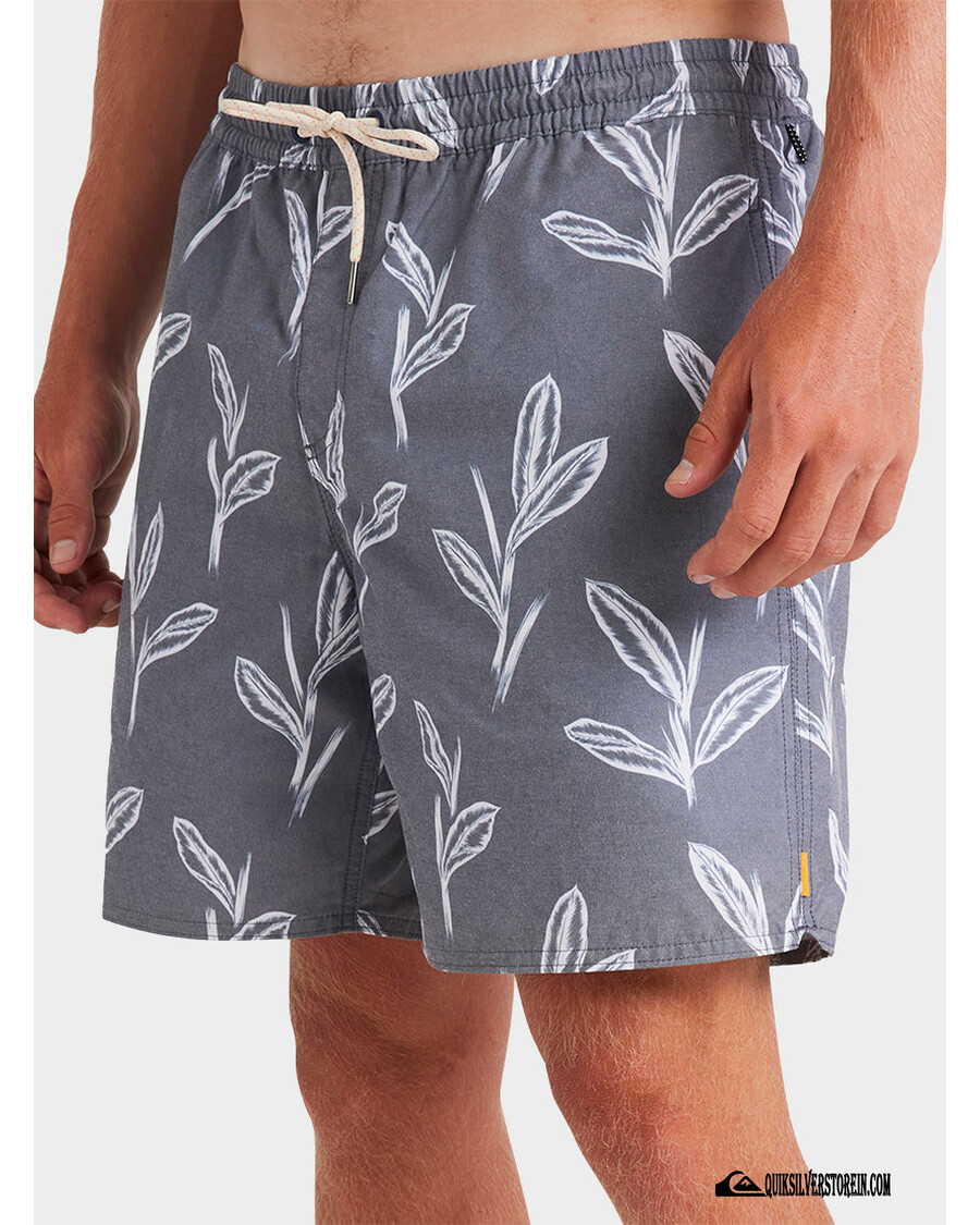 Quik Srebrni Waterman Stapke đumbira Kupaće Gaće - Srednjovjekovne Plave Stabljike đumbira