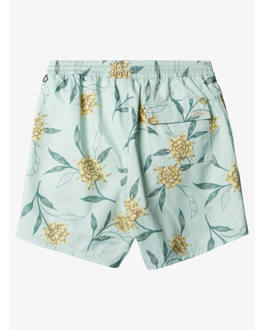 Celana Renang Voli Mekar Sempurna Quiksilver Waterman - Vly Mekar Sempurna Berwarna Hijau Halus