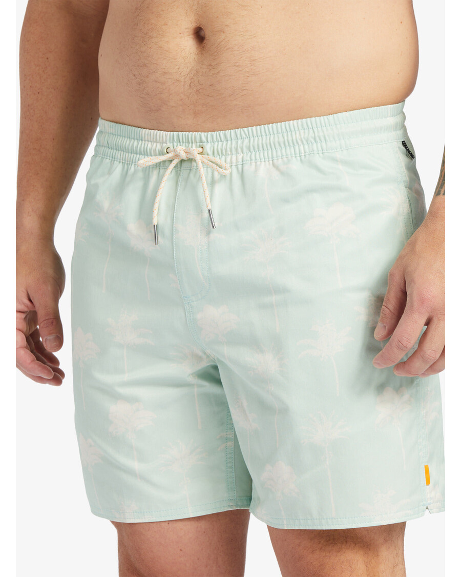 クイック シルバー ウォーターマン クリフサイド 17 インチ 水泳パンツ - 微妙なグリーンのアスペクトパーム