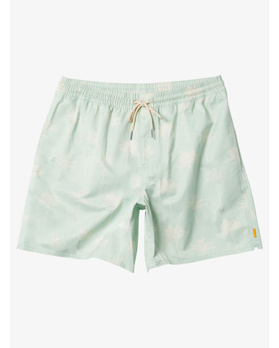 μαγιό 17" κουκ ασημί Waterman στην άκρη του βράχου - διακριτική πράσινη καταπληκτική παλάμη