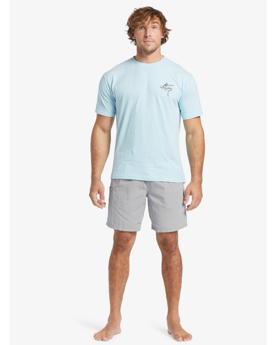 Quiksilver Waterman Last Lett Elastisk Midje 19" Shorts - Haiskinn