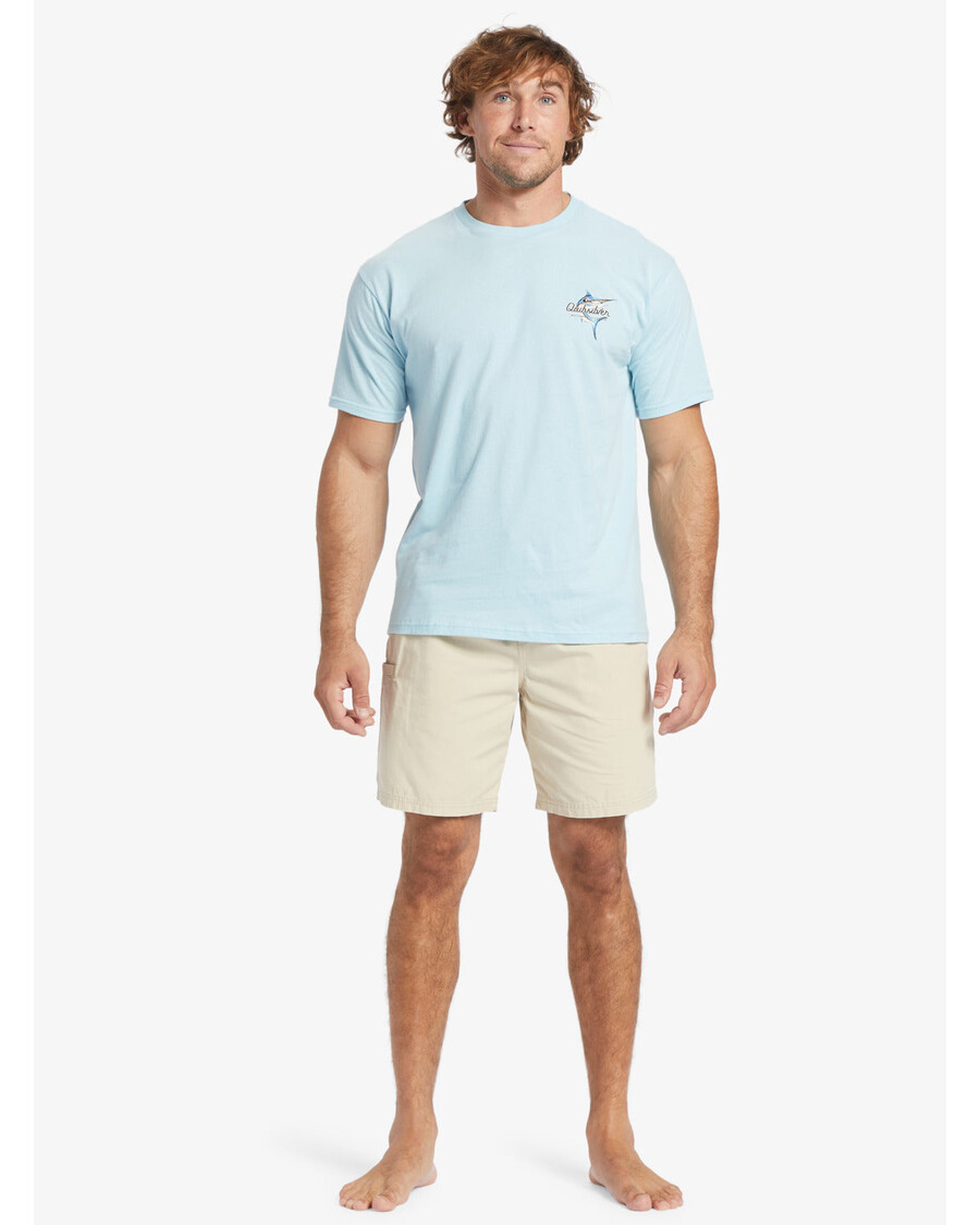 Quiksilver Waterman Last Light Joustava Vyötärö 19" Shortsit - Ruskea Riisi