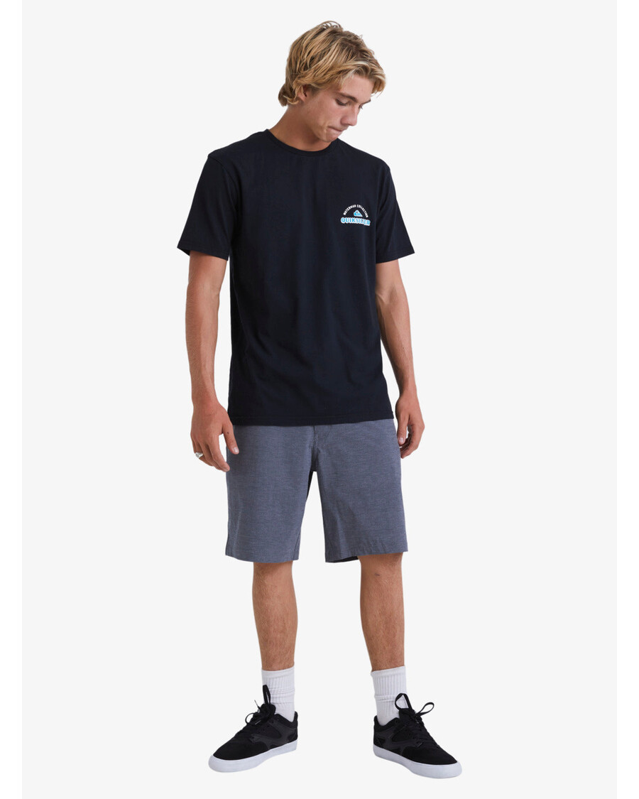 Quik Silver Waterman Backwater 20" Amphibian Boardshorts - Black