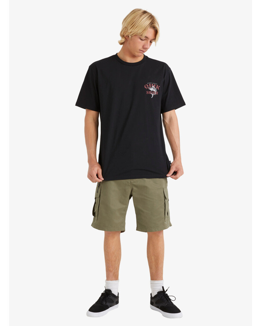 Quiksilver Waterman Maldive Atoll 20" Krovininiai šortai - Dulkėtas Alyvuogių