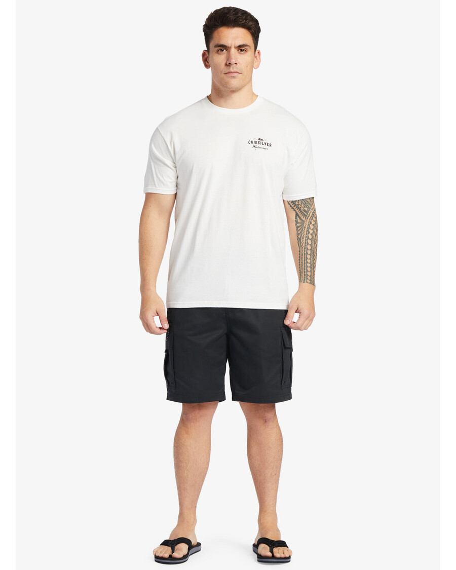 Шорты карго 20 дюймов Quiksilver Waterman Maldive Atoll - черные