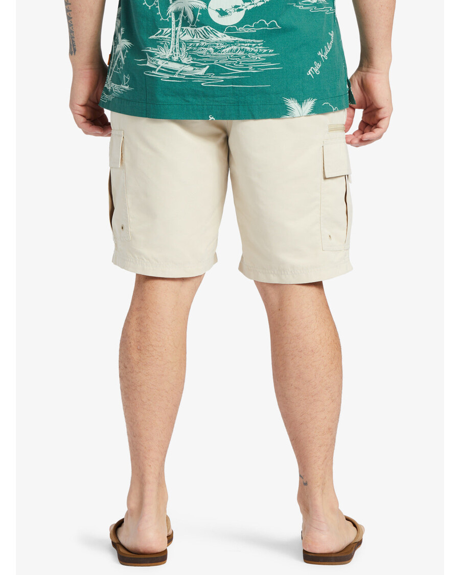 Quiksilver Waterman Maldive Atol 20" Cargo šortky - Hnědá Rýže