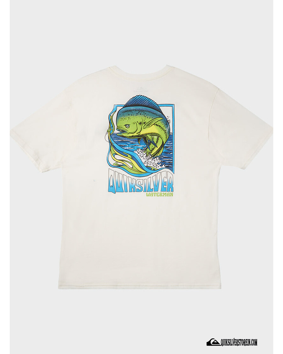 Quiksilver Waterman Fish Flow T-särk - Lumivalge