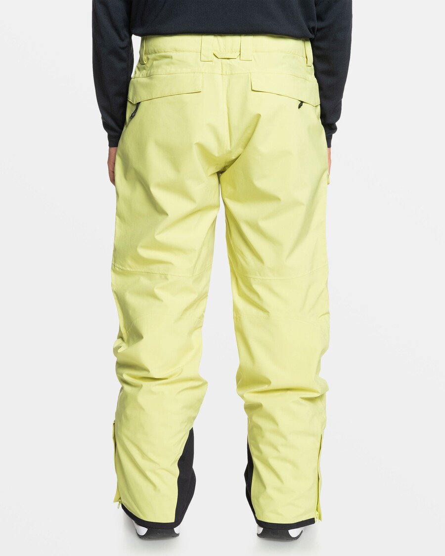Quiksilver Utility Sniego Kelnės - Salierų žalios